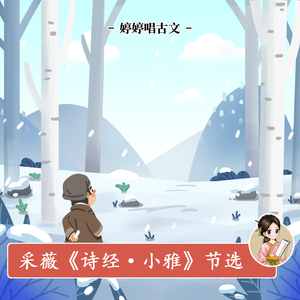 新一代soho小狼导航
