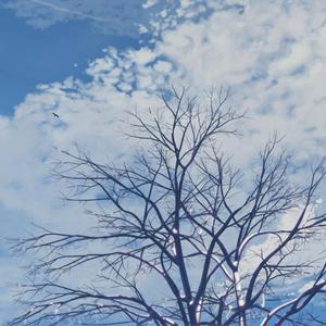 ❌❌❌美女祼体隐私视频
