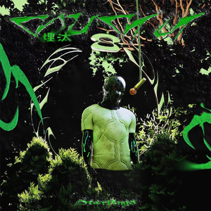 美国大片ppt免费少女
