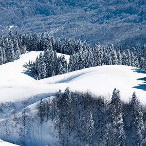 国产亚洲一区二区手机在线观看
