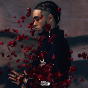 美日韩女兽交高潮视频
