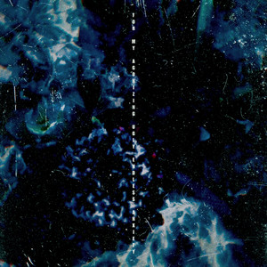 欧美黑人妇BBBB槡BBBB
