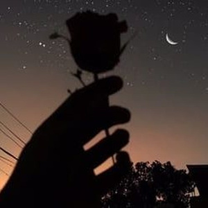 男生把🍌伸进🍑里无遮挡软件
