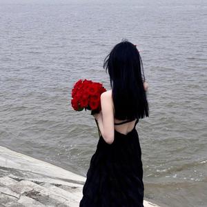 新一代soho小狼导航
