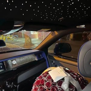 成人午夜性视频欧美成人
