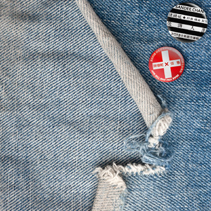 大鸡巴操骚逼免费
