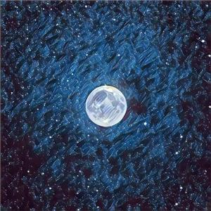 大鸡巴操骚逼免费
