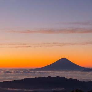 欧洲人与动物BBW
