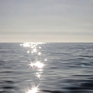 日本老太妇网站
