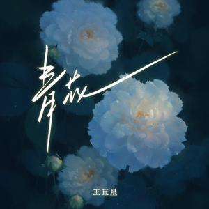 7777国产盗摄农村女人
