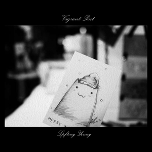 真正老两口玩性视频
