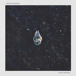 性爱视频口交100招
