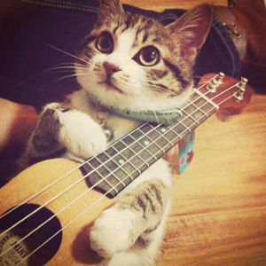 亚洲中文字幕无码专区
