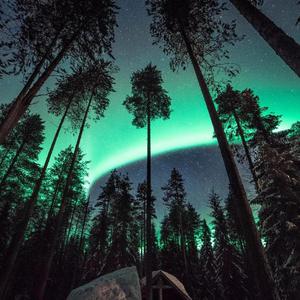 人妻教师婉晴和黑人留学生
