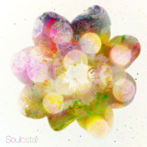 插进大码美女逼里射精
