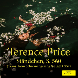 宿迁木屋厂家用小鹤营销导航
