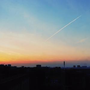 成人午夜性视频欧美成人
