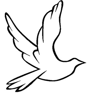 免费看外国人操逼
