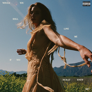 美国大片ppt免费少女
