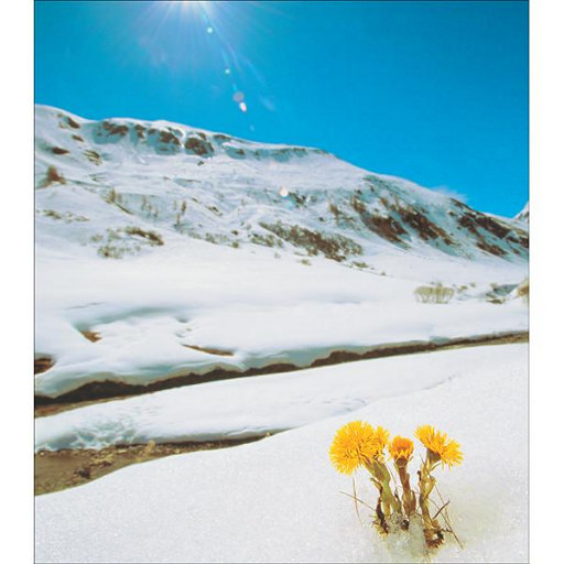 男人用注水器注进女人下面的视频
