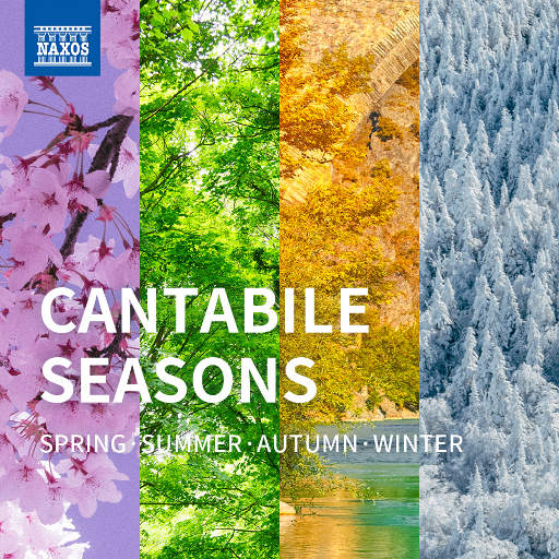 国内黄色片毛片
