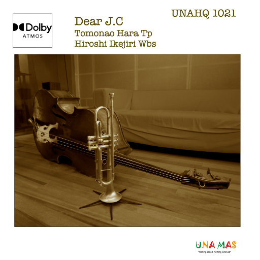 精品人妻少妇一区二区中文字幕
