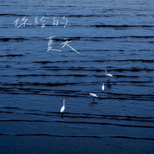 新一代soho小狼导航
