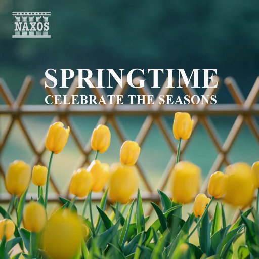 国内黄色片毛片
